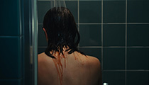 The Body